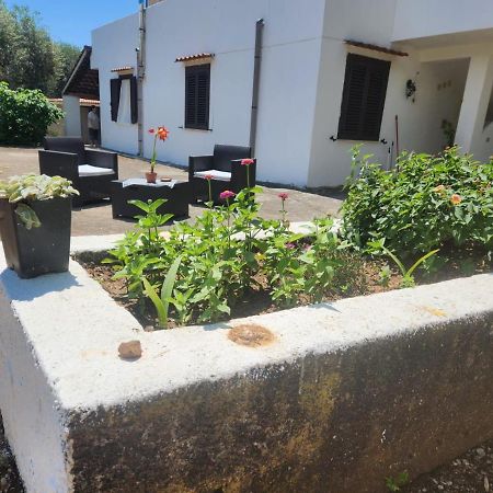 Casa Vacanza Maria Antonieta Marina di Camerota Dış mekan fotoğraf