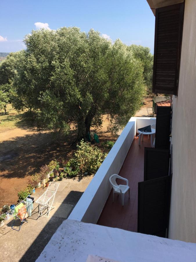 Casa Vacanza Maria Antonieta Marina di Camerota Dış mekan fotoğraf