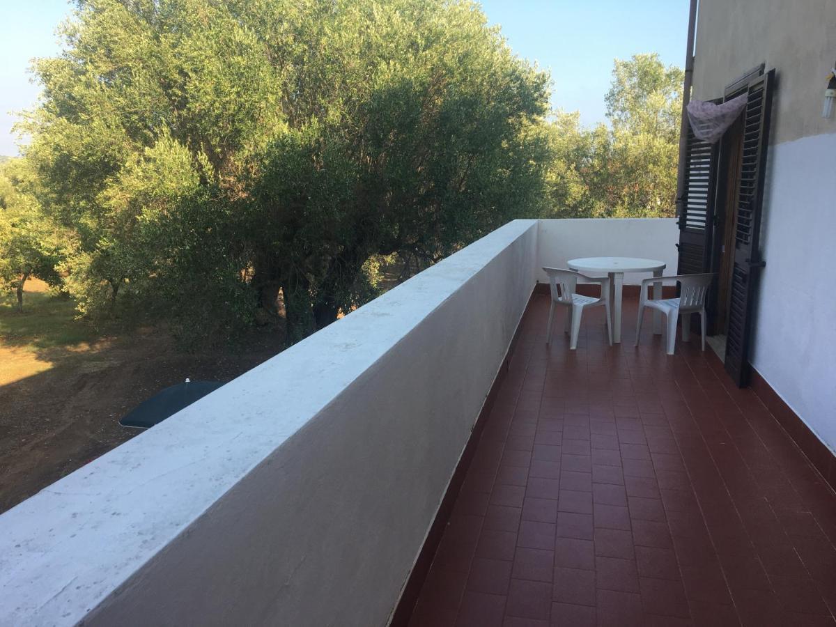 Casa Vacanza Maria Antonieta Marina di Camerota Dış mekan fotoğraf
