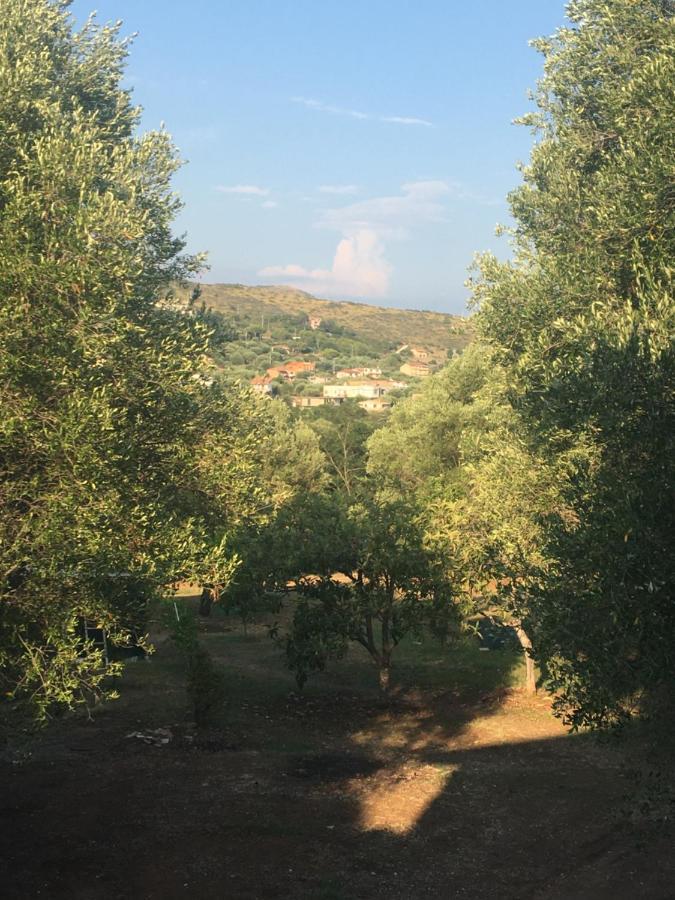 Casa Vacanza Maria Antonieta Marina di Camerota Dış mekan fotoğraf