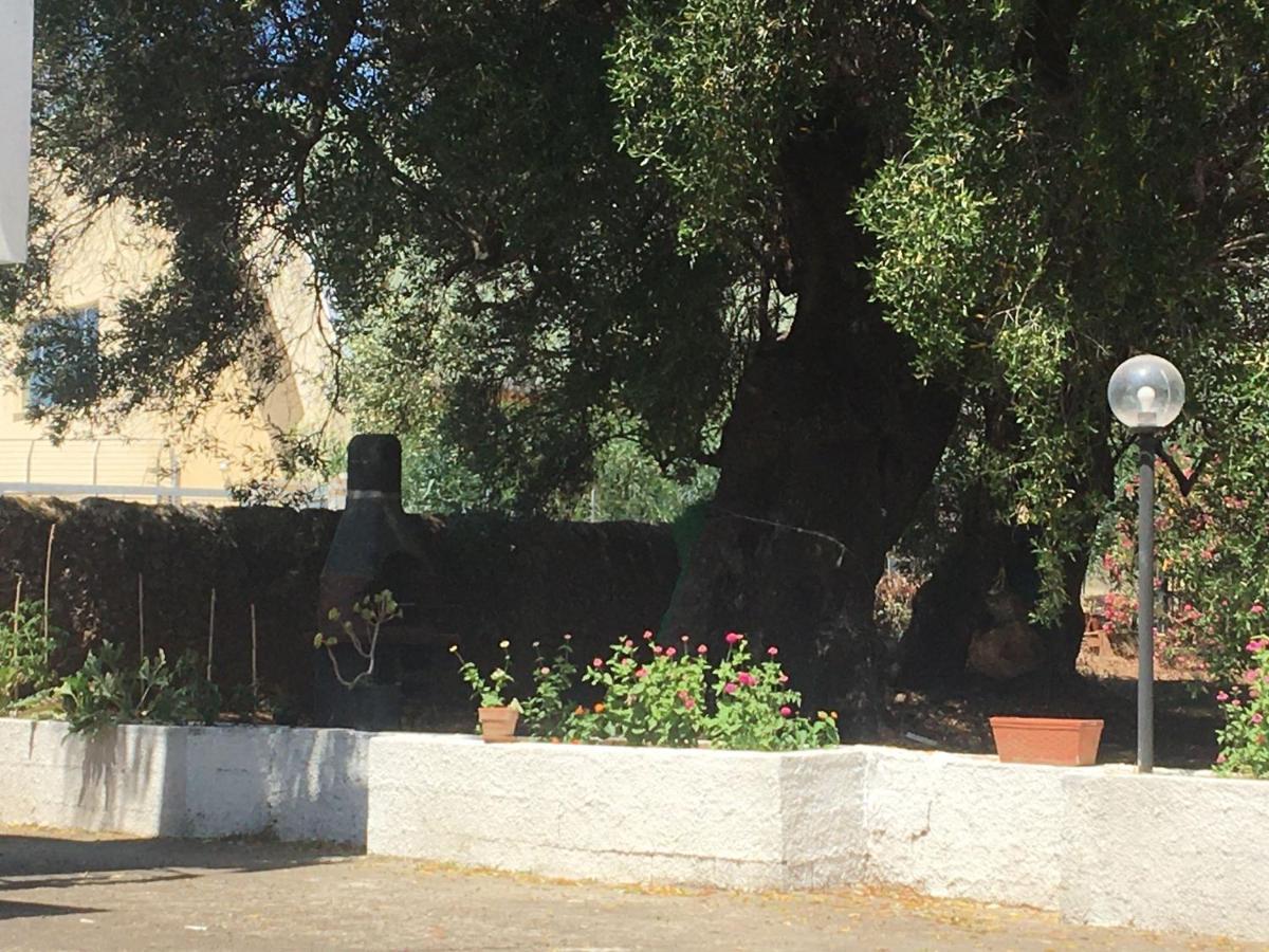 Casa Vacanza Maria Antonieta Marina di Camerota Dış mekan fotoğraf
