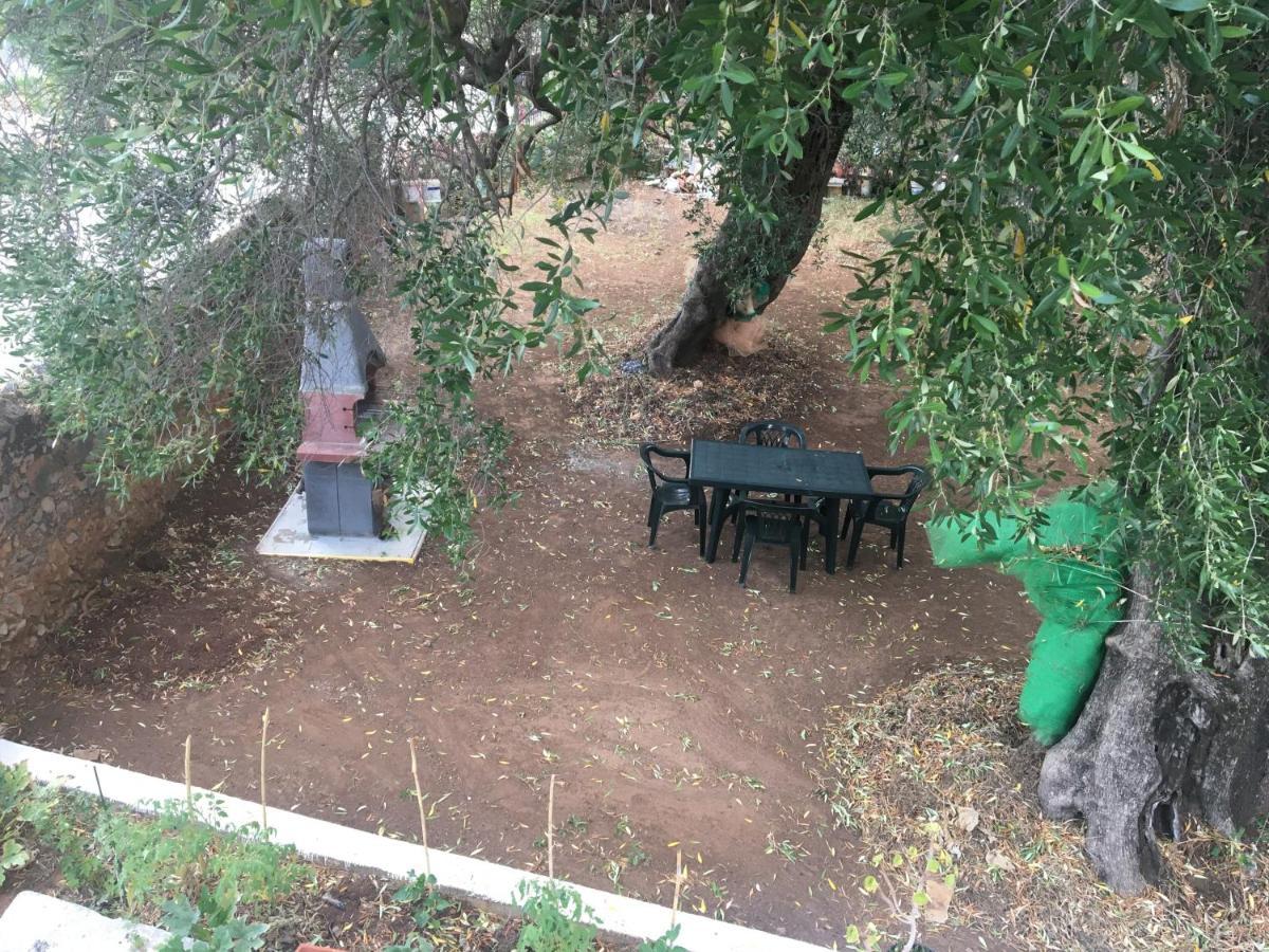 Casa Vacanza Maria Antonieta Marina di Camerota Dış mekan fotoğraf