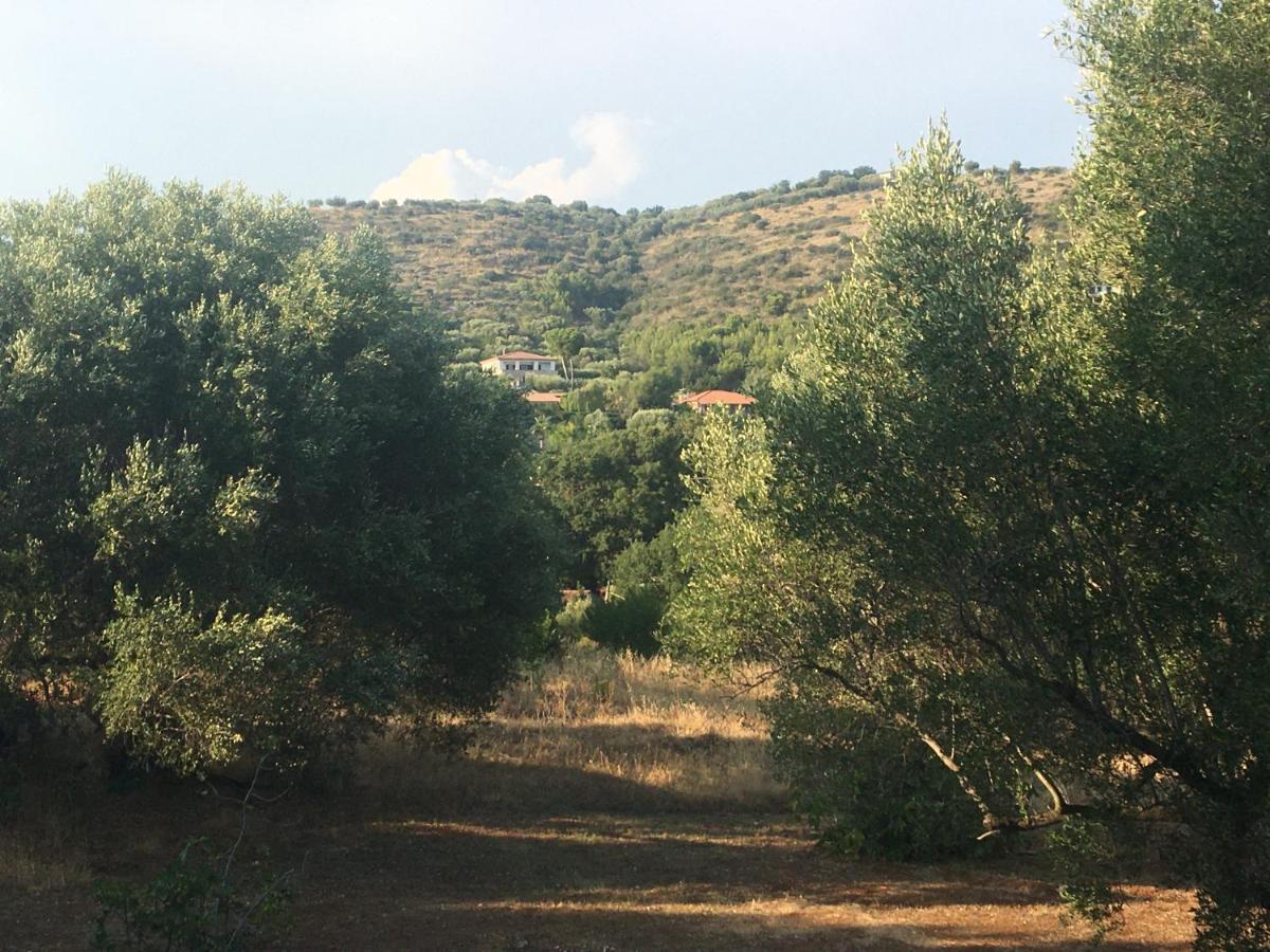 Casa Vacanza Maria Antonieta Marina di Camerota Dış mekan fotoğraf