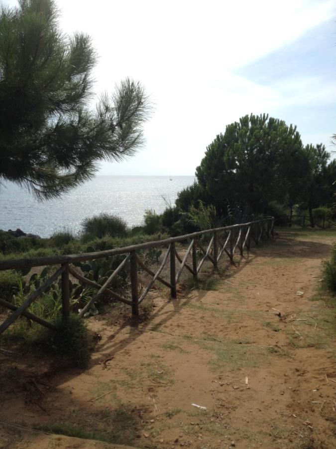 Casa Vacanza Maria Antonieta Marina di Camerota Dış mekan fotoğraf
