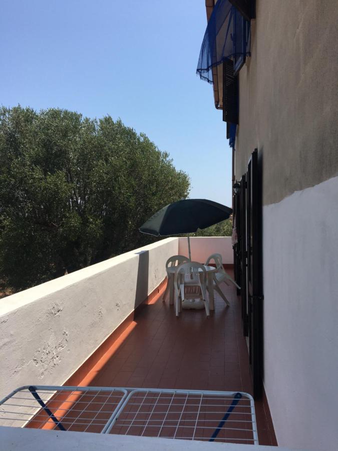 Casa Vacanza Maria Antonieta Marina di Camerota Dış mekan fotoğraf