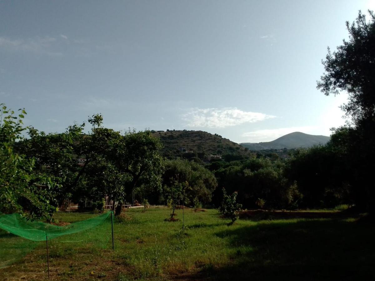 Casa Vacanza Maria Antonieta Marina di Camerota Dış mekan fotoğraf