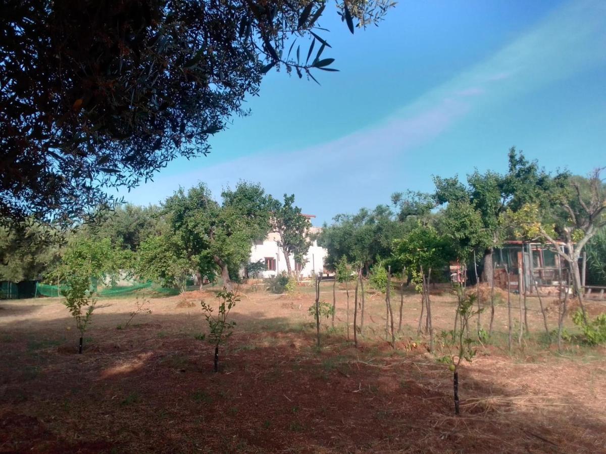 Casa Vacanza Maria Antonieta Marina di Camerota Dış mekan fotoğraf