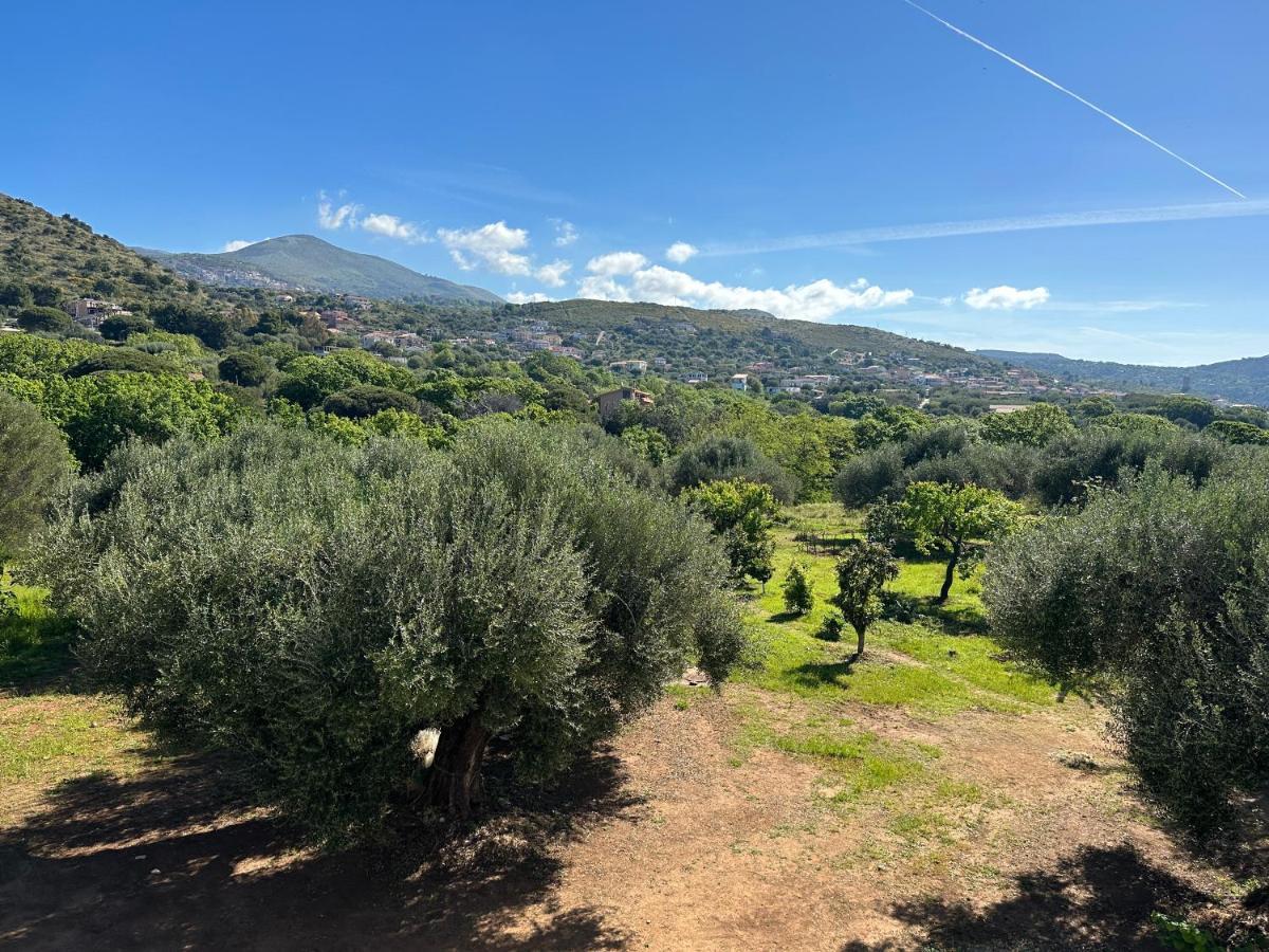 Casa Vacanza Maria Antonieta Marina di Camerota Dış mekan fotoğraf