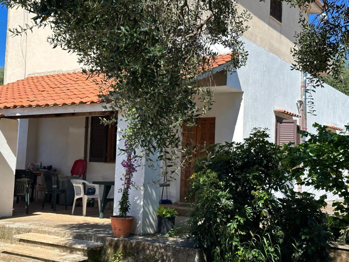 Casa Vacanza Maria Antonieta Marina di Camerota Dış mekan fotoğraf
