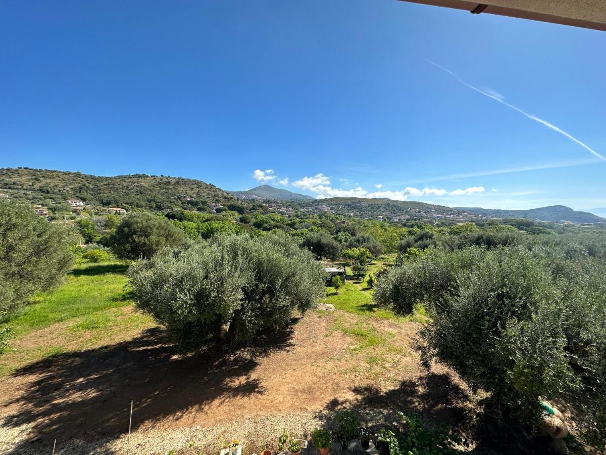 Casa Vacanza Maria Antonieta Marina di Camerota Dış mekan fotoğraf