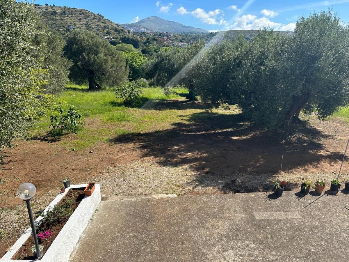 Casa Vacanza Maria Antonieta Marina di Camerota Dış mekan fotoğraf