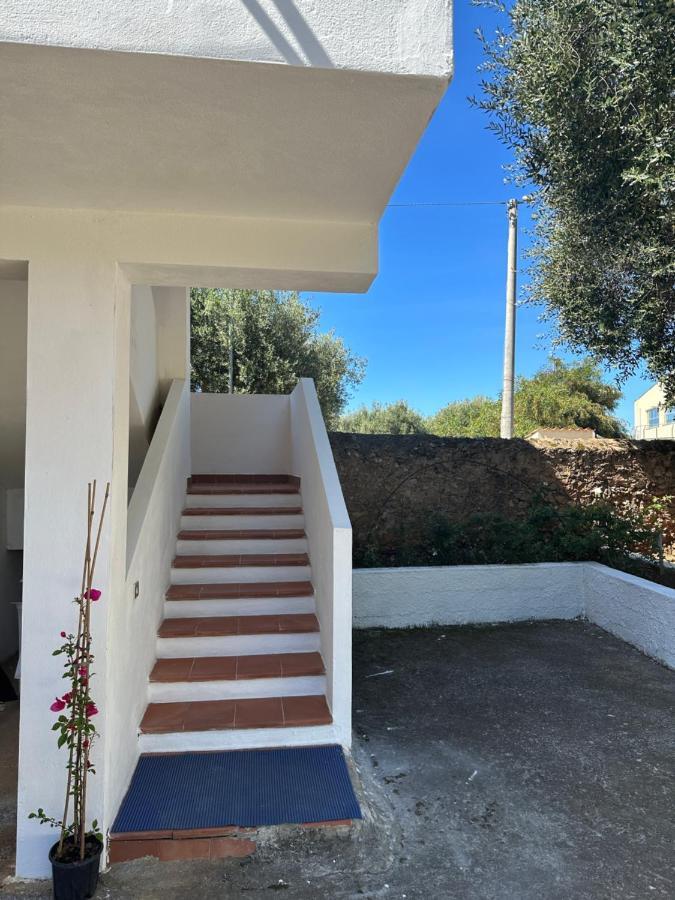 Casa Vacanza Maria Antonieta Marina di Camerota Dış mekan fotoğraf