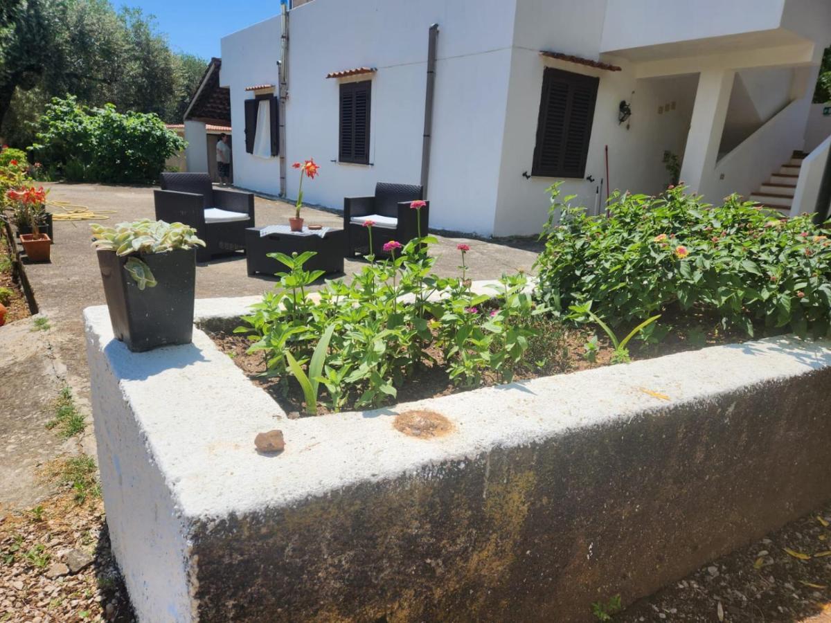 Casa Vacanza Maria Antonieta Marina di Camerota Dış mekan fotoğraf
